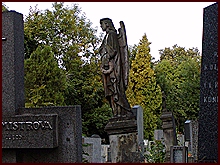 Anděl na hřbitově