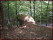 Lesní kámen u cesty