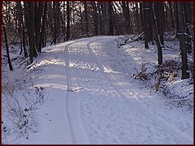 Pohodln� zimn� cesta v lese