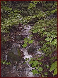 Lesn� potok nad Un��nem