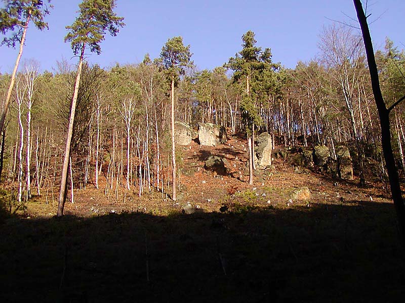 Obnažené skály ve vytěženém lese
